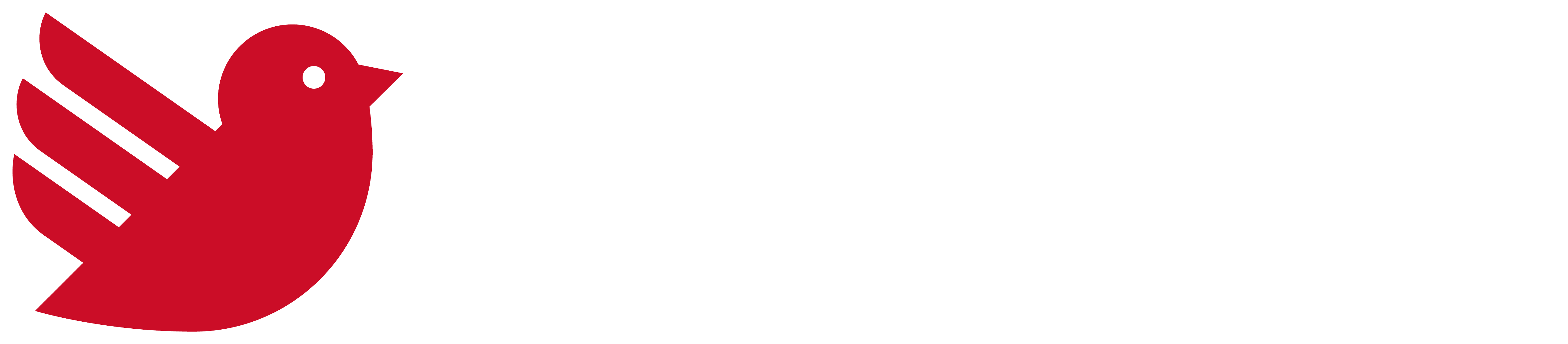 Hermann Saunier Duval